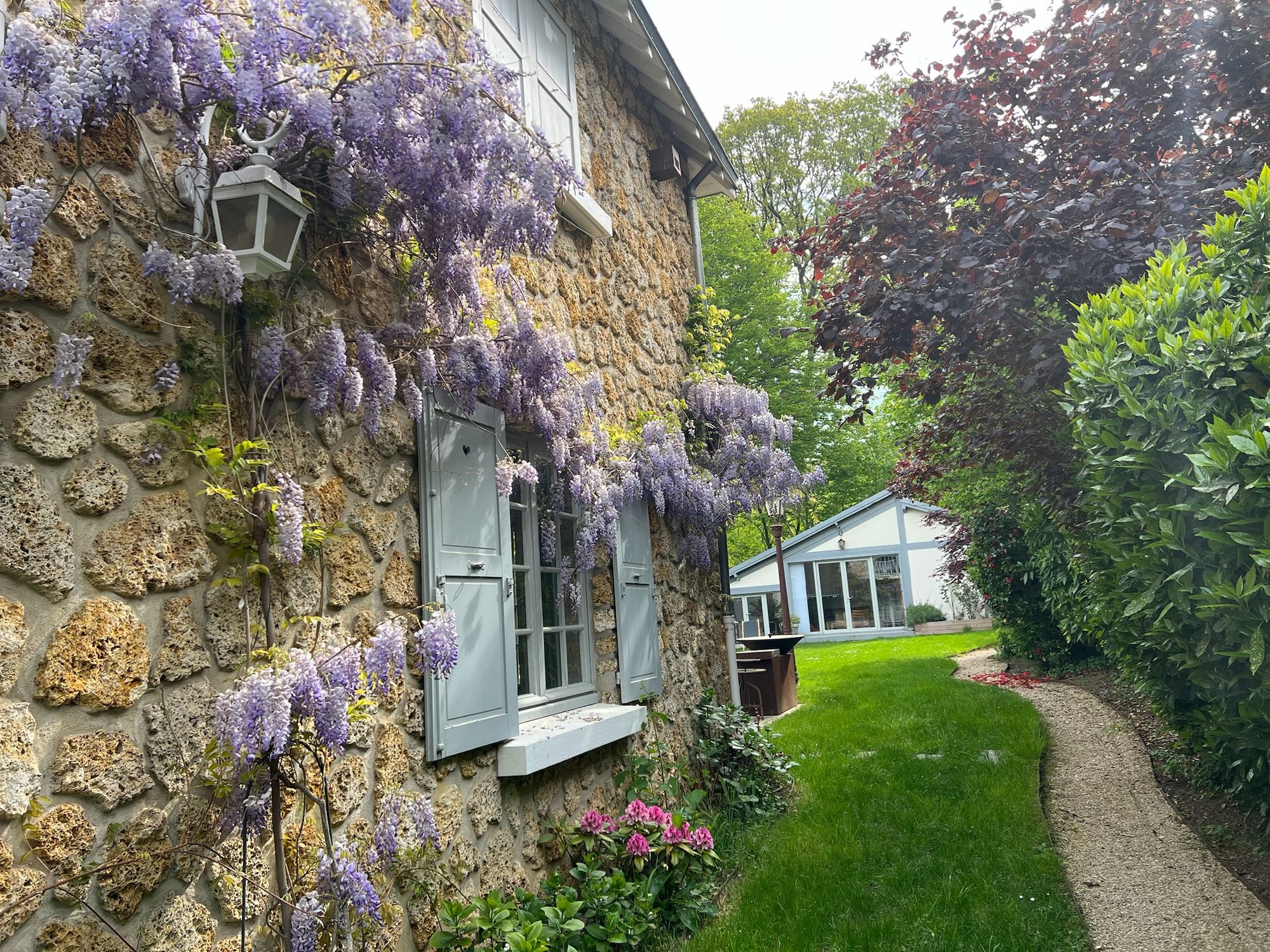 Wisteria on the millstone façade, with grey shutters and a path leading to the guest cottage