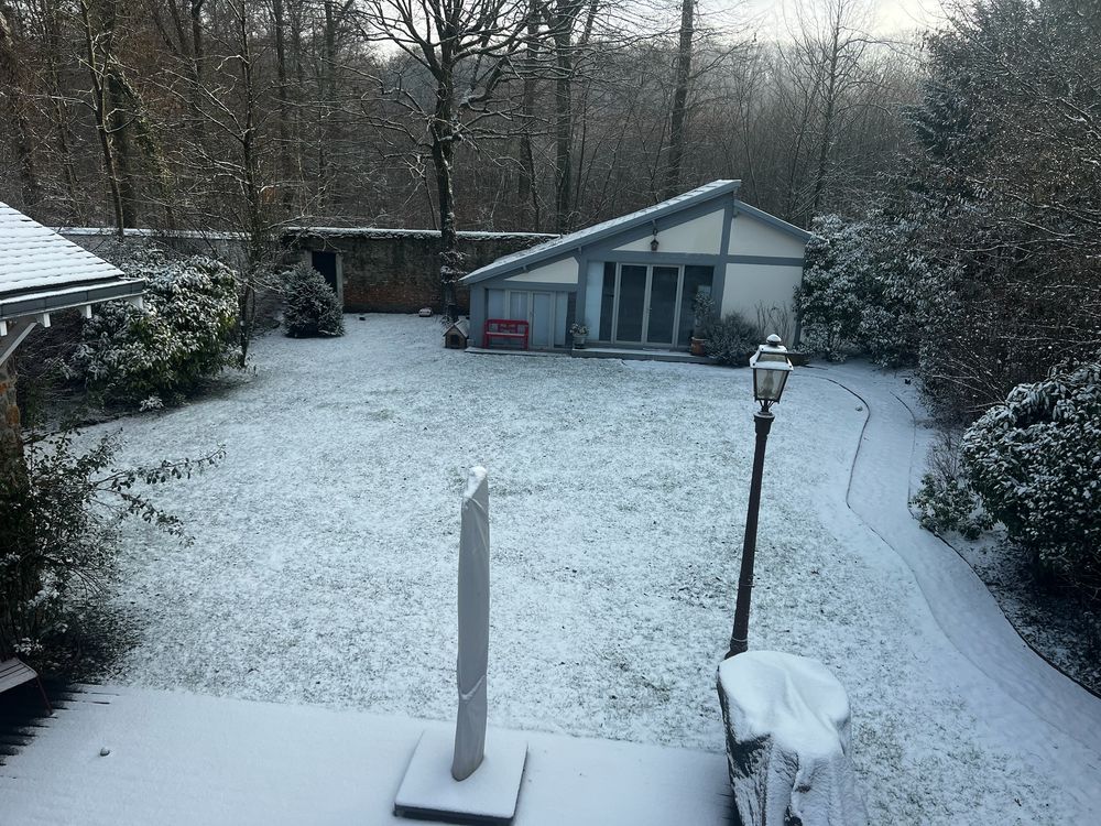 The garden under snow